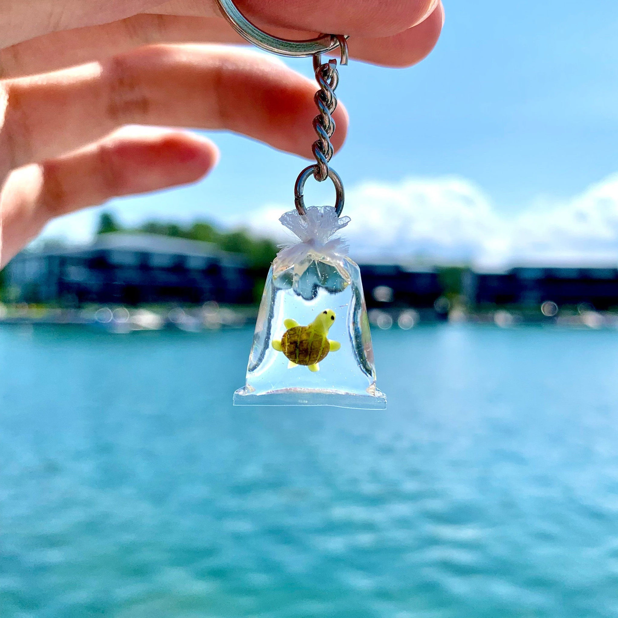 Turtle in Bag Keychain (Copy)